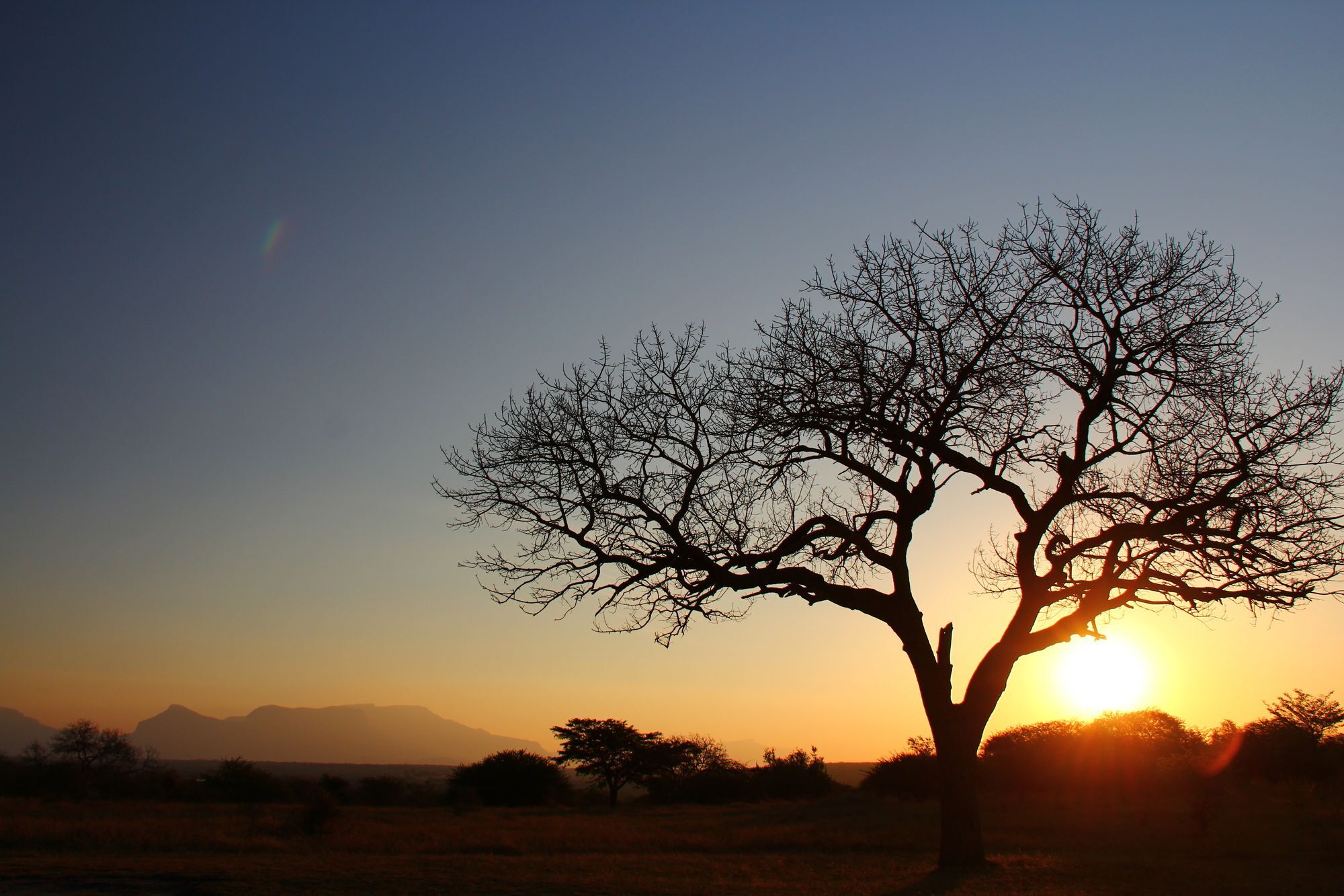 Thornhill Safari Lodge โฮดสปรูท ภายนอก รูปภาพ
